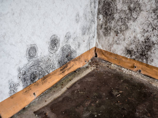 Water damage restoration process in Meadow Vale, KY